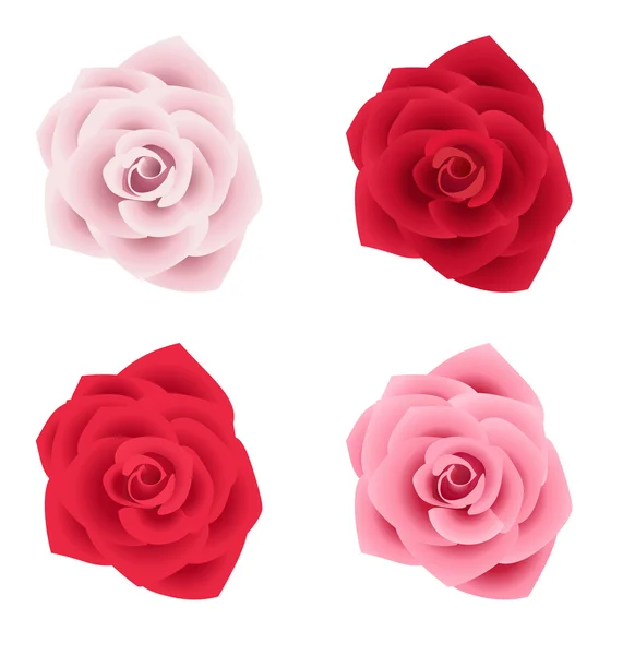 Ensemble de quatre roses de différentes couleurs — Image vectorielle