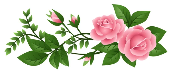 Векторна ілюстрація рожевих троянд — стоковий вектор