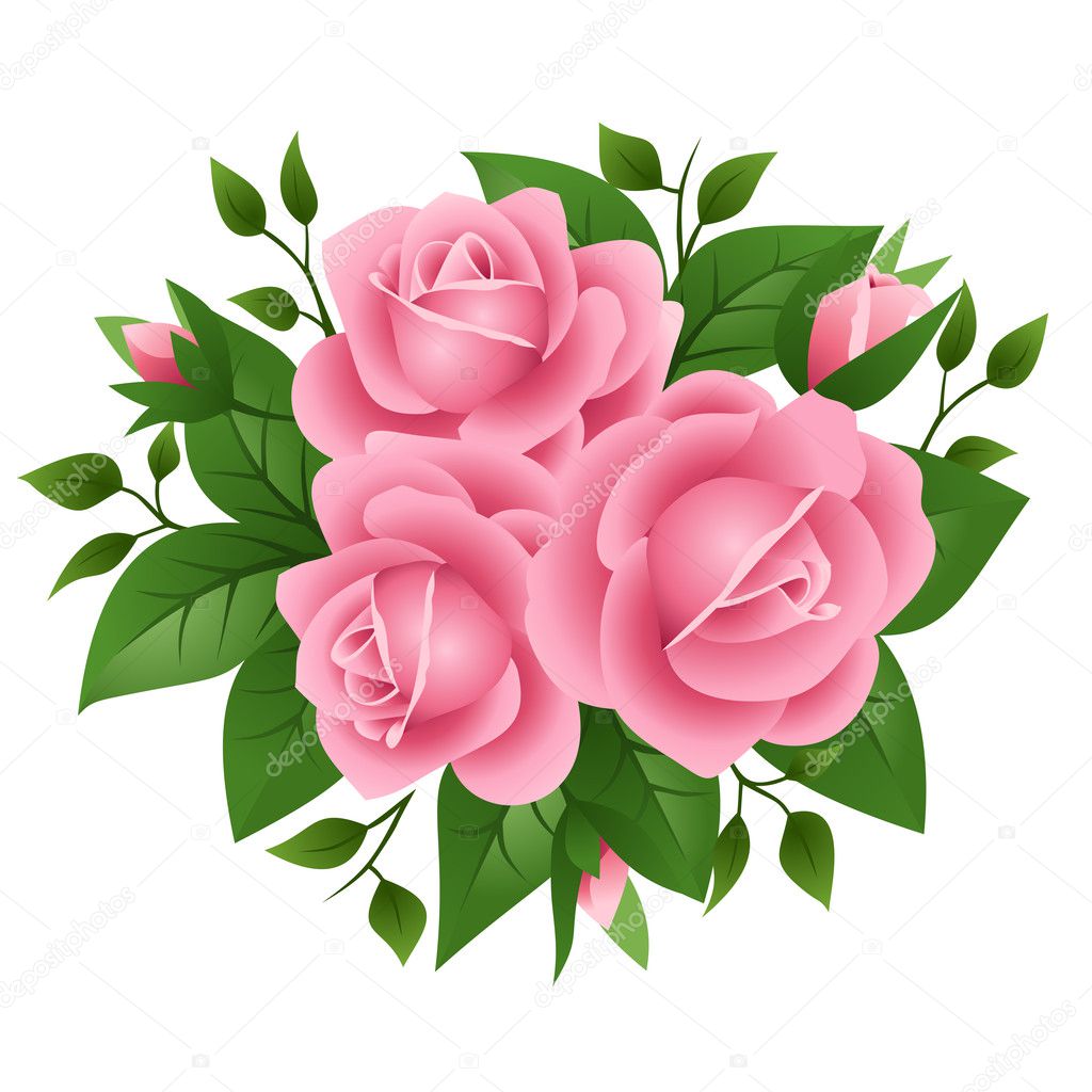 Vector illustration of pink roses