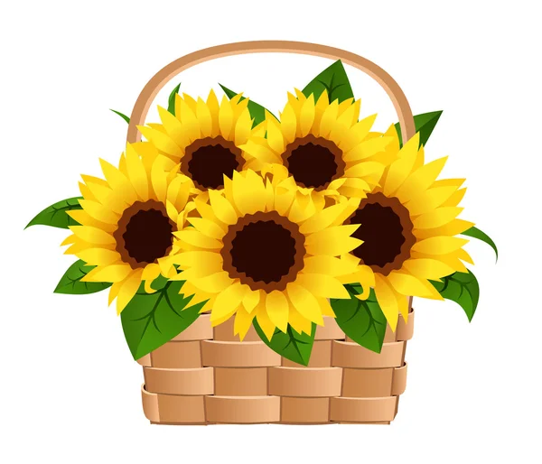 Vectorillustratie van mand met zonnebloemen — Stockvector