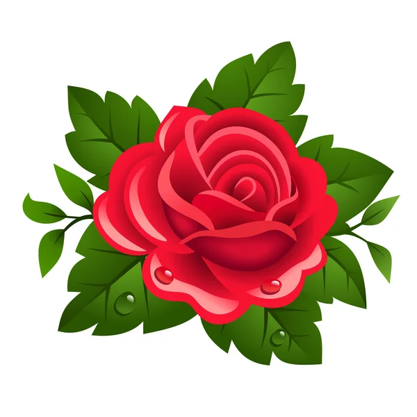 Vector illustration of red rose — Stock Vector