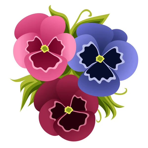 Vector illustration of pansies — Stock Vector