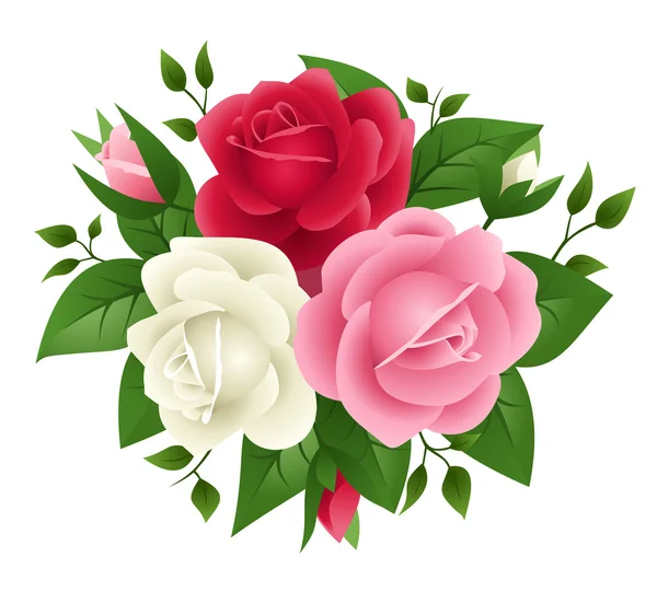 Ilustração vetorial de rosas vermelhas, rosa e brancas — Vetor de Stock