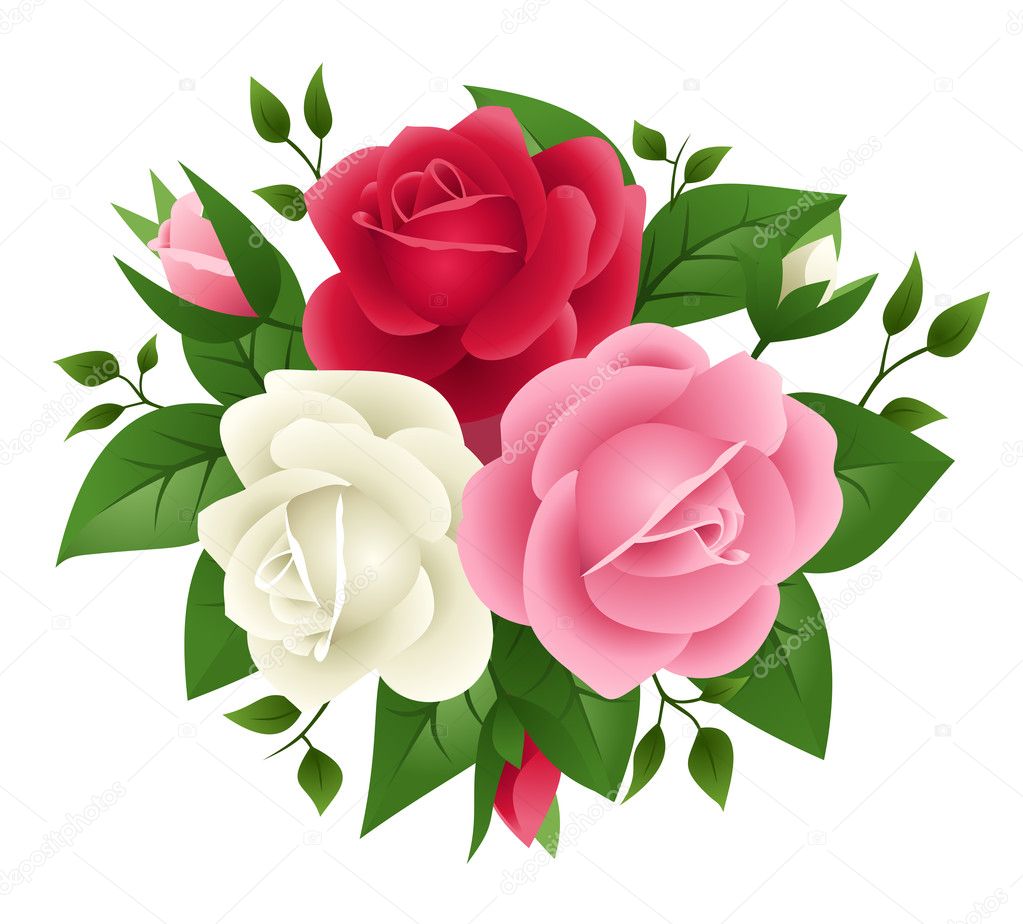 Vector illustration of red, pink and white roses