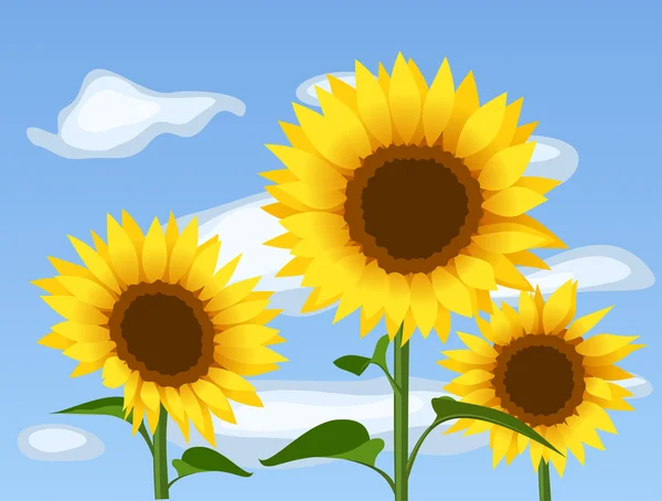 Three sunflowers over blue sky — Stockvector
