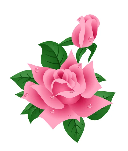 Wektor ilustracja różowa róża — Wektor stockowy