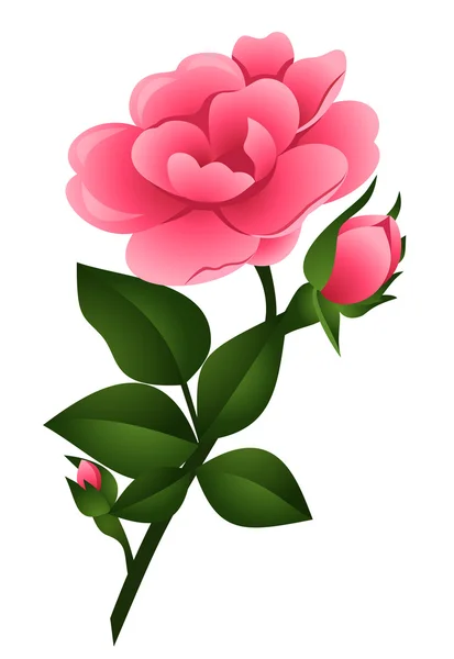 Vector illustration of pink rose with stem — Vetor de Stock