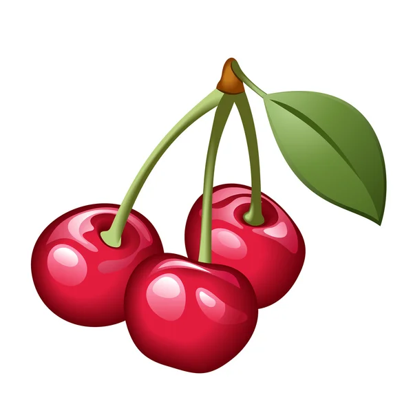 Vector illustration of three cherries — 图库矢量图片