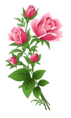 Vector illustration of bouquet of pink roses