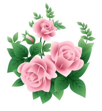 Vector illustration of pink roses