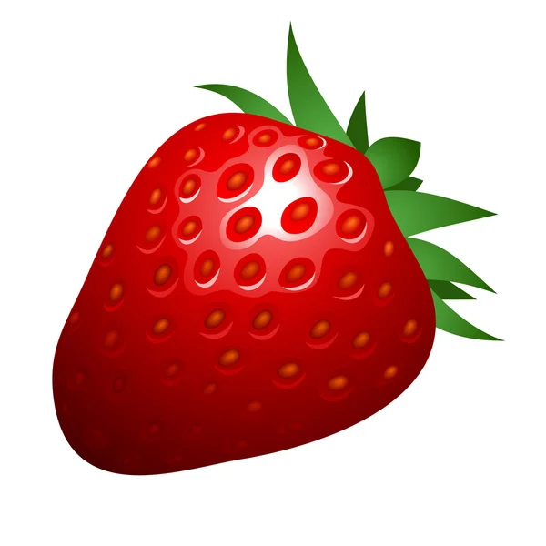 Vektorillustration der Erdbeere — Stockvektor