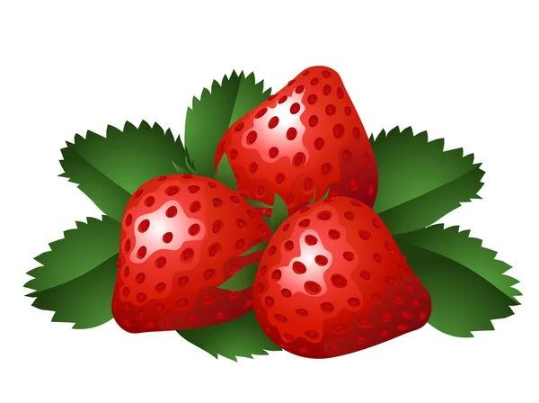 Vector illustration of three strawberries — Stock Vector
