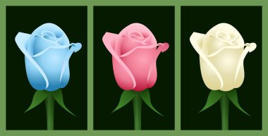 Set of rosebuds of various colors. Vector illustration.