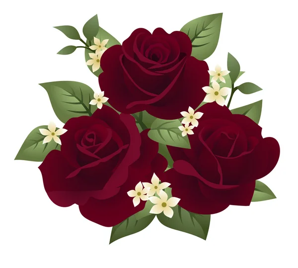 Ilustración vectorial de tres rosas de Borgoña — Vector de stock