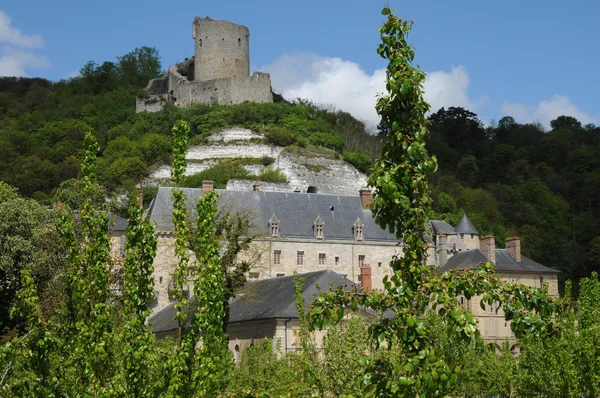 法国 la 罗氏尺管的城堡 — 图库照片