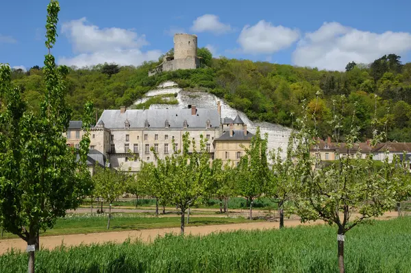 Франция, замок Ла Рош Гьон — стоковое фото