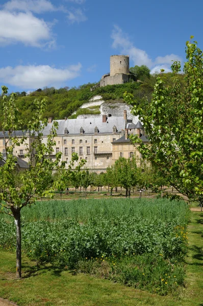 Франция, замок Ла Рош Гьон — стоковое фото