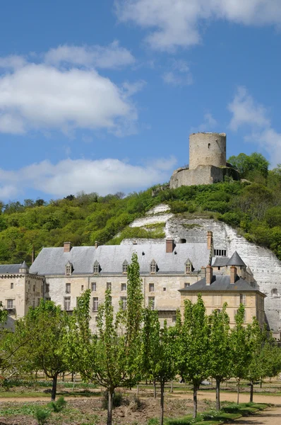 Frankrike, slottet av la roche guyon — Stockfoto
