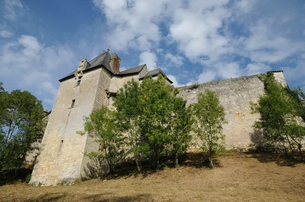 Vayres 在吉伦特省的城堡 — 图库照片