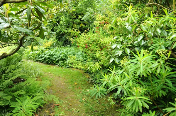 stock image France, le Jardin de l Atelier in Perros Guirec