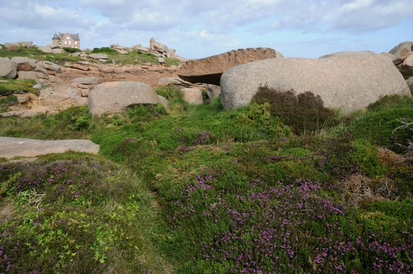布列塔尼，粉红色 granit 岩在 ploumanac h — 图库照片
