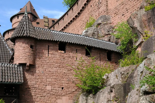 Замок Кёнигсбур в Эльзасе — стоковое фото