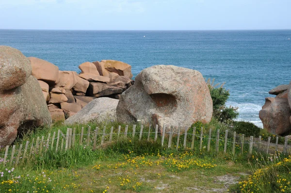 Bretagne, lyserøde granit sten i Ploumanac h - Stock-foto