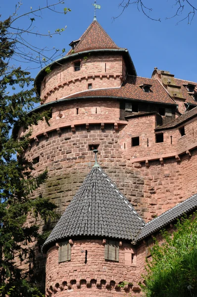 Замок Кёнигсбур в Эльзасе — стоковое фото