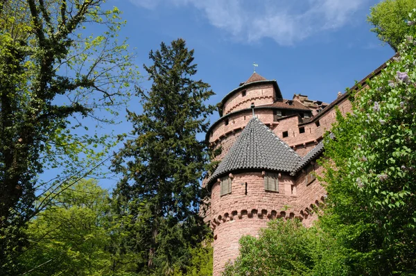 stock image The chateau du Haut Koenigsbourg in Alsace