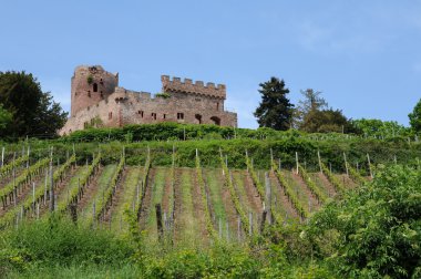 The castle of Kintzheim in Alsace clipart
