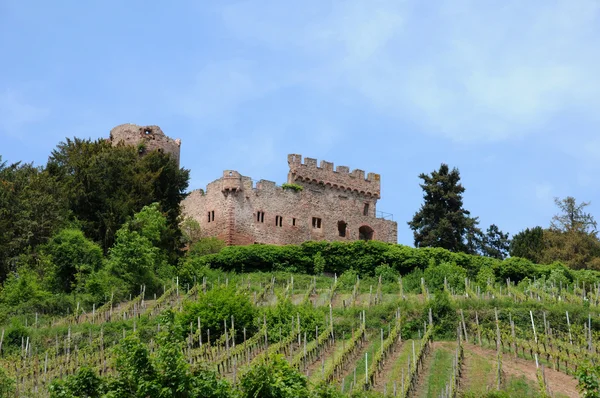 stock image The castle of Kintzheim in Alsace
