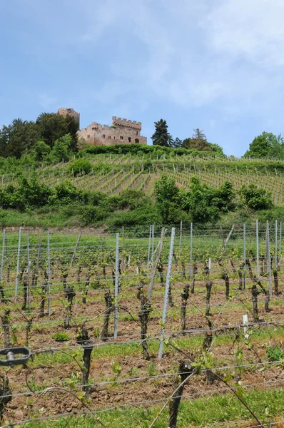 O castelo de Kintzheim na Alsácia — Fotografia de Stock