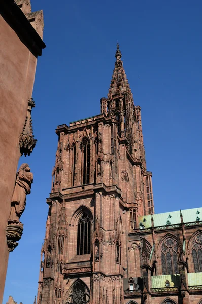 Fransa, alsace strasbourg Katedrali'nin — Stok fotoğraf