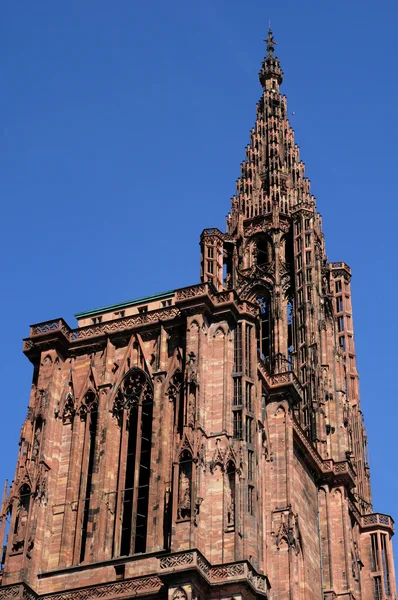 France, the cathedral of Strasbourg in Alsace — Stock Photo, Image