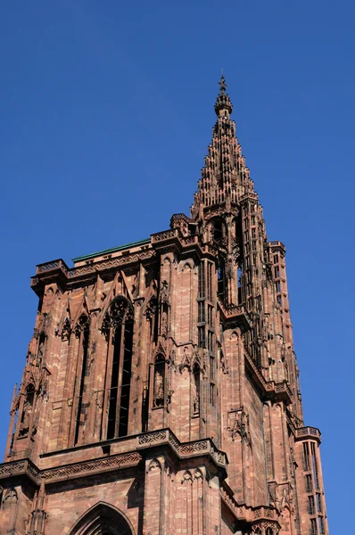 França, a catedral de Estrasburgo na Alsácia — Fotografia de Stock