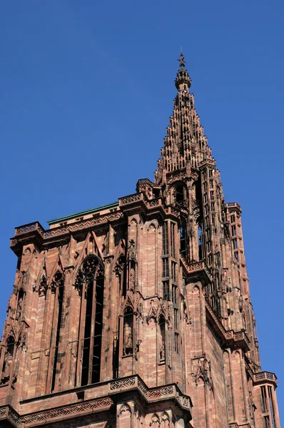 Франція, собору Страсбурга у провінції alsace — стокове фото