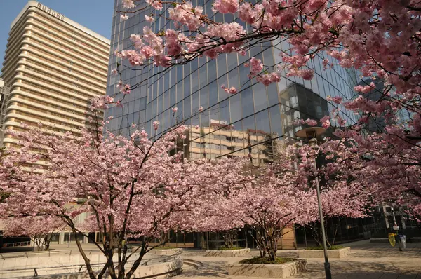 stock image France, modern building in the district of La Defense