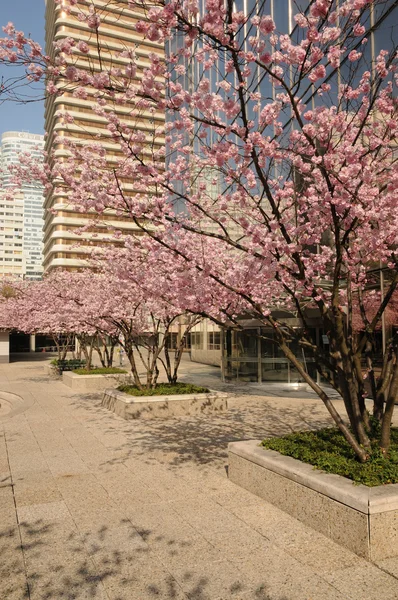 stock image France, modern building in the district of La Defense