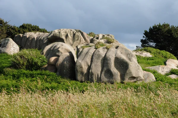 Francie, žulových skal v tregastel — Stock fotografie