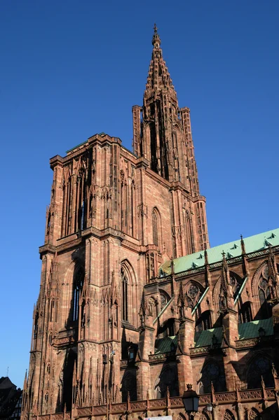France, the cathedral of Strasbourg in Alsace — Stock Photo, Image