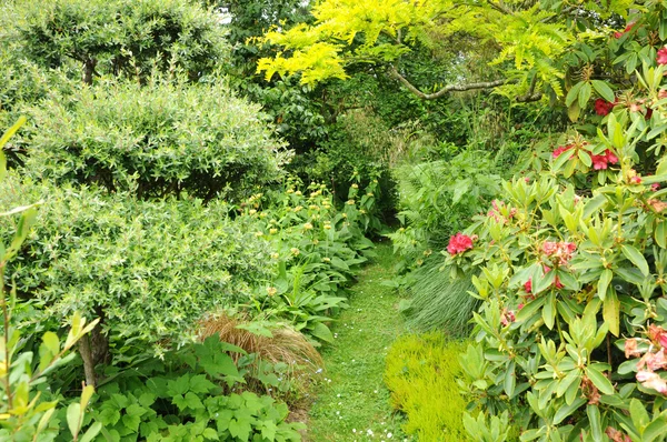 stock image France, le Jardin de l Atelier in Perros Guirec