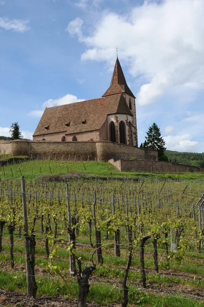 stock image Alsace, Saint Jacques le Majeur church in Hunawihr