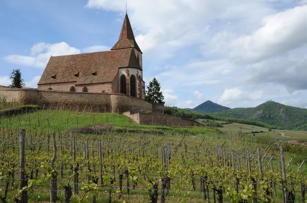 Alsace, saint jacques le majeure kyrka i hunawihr — Stockfoto