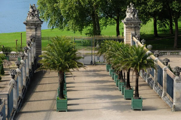 フランス ヴェルサイユ宮殿オランジェリーの庭 — ストック写真