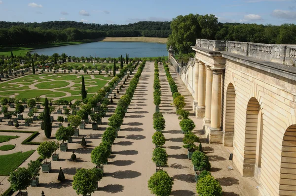 França, jardim do Palácio de Versalhes Orangery — Fotografia de Stock