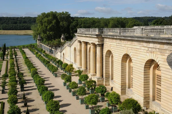 stock image France, garden of the Versailles palace Orangery