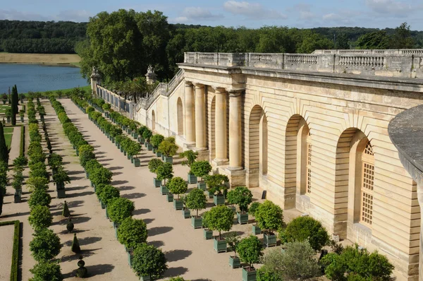 Francia, jardín del palacio de Versalles Orangery —  Fotos de Stock