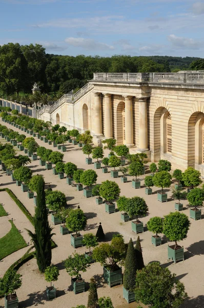France, garden of the Versailles palace Orangery — Stock Photo, Image