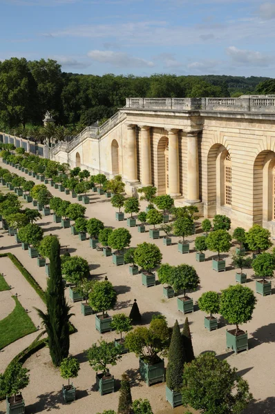 França, jardim do Palácio de Versalhes Orangery — Fotografia de Stock