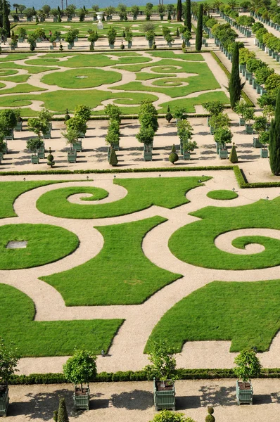 Frankrijk, Tuin van de Orangerie versailles paleis — Stockfoto